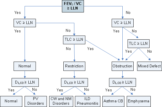 Interpretation of Lung Function Tests